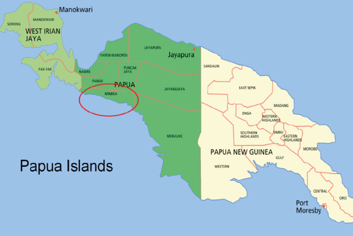 President Jokowi Officially Signs New Papua Province Law